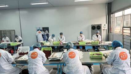 携手阿里，智造未来 裕鑫博康借力淘工厂加速产业数字化升级